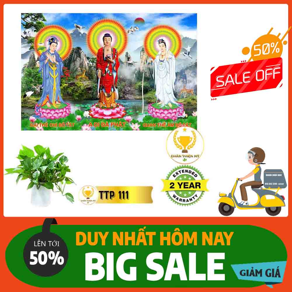 Tranh Tam Thế Phật MS 111