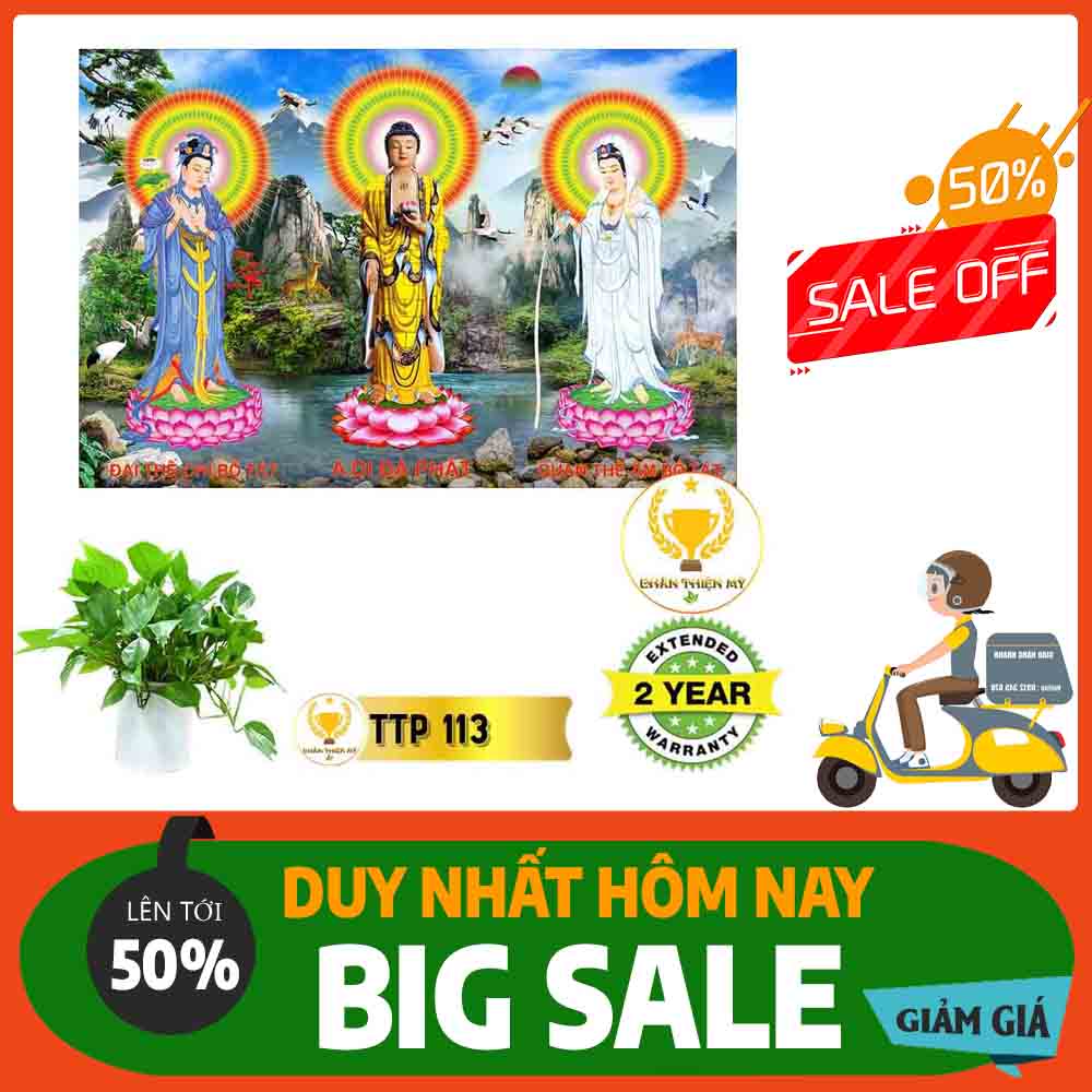 Tranh Tam Thế Phật MS 113