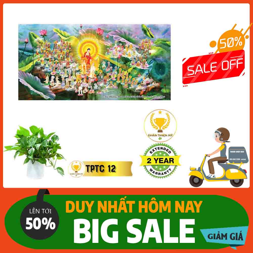 Tranh Tây Phương Tam Thánh MS 12