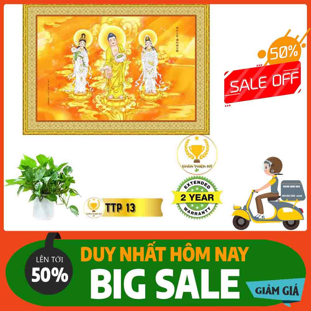 Tranh Tam Thế Phật MS 13