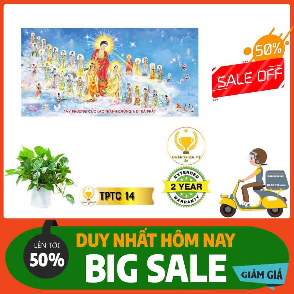 Tranh Tây Phương Tam Thánh MS 14