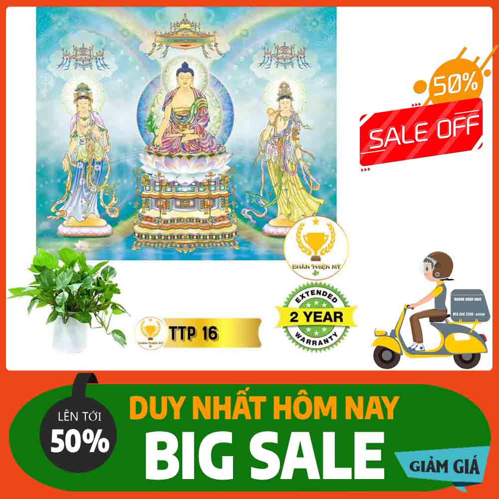 Tranh Tam Thế Phật MS 16