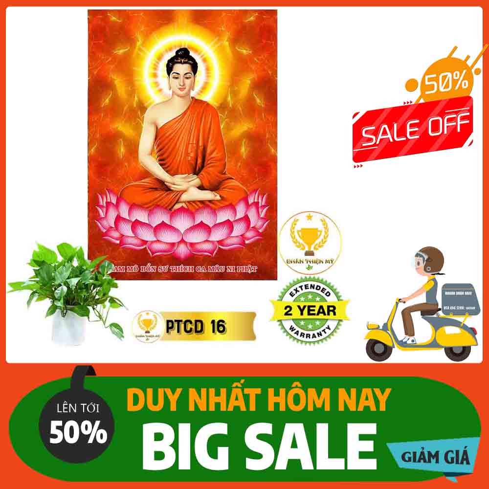 Tranh Phật Thích Ca Mâu Ni MS 16