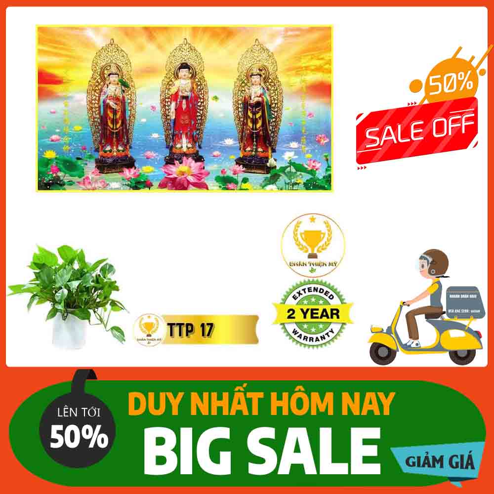 Tranh Tam Thế Phật MS 17