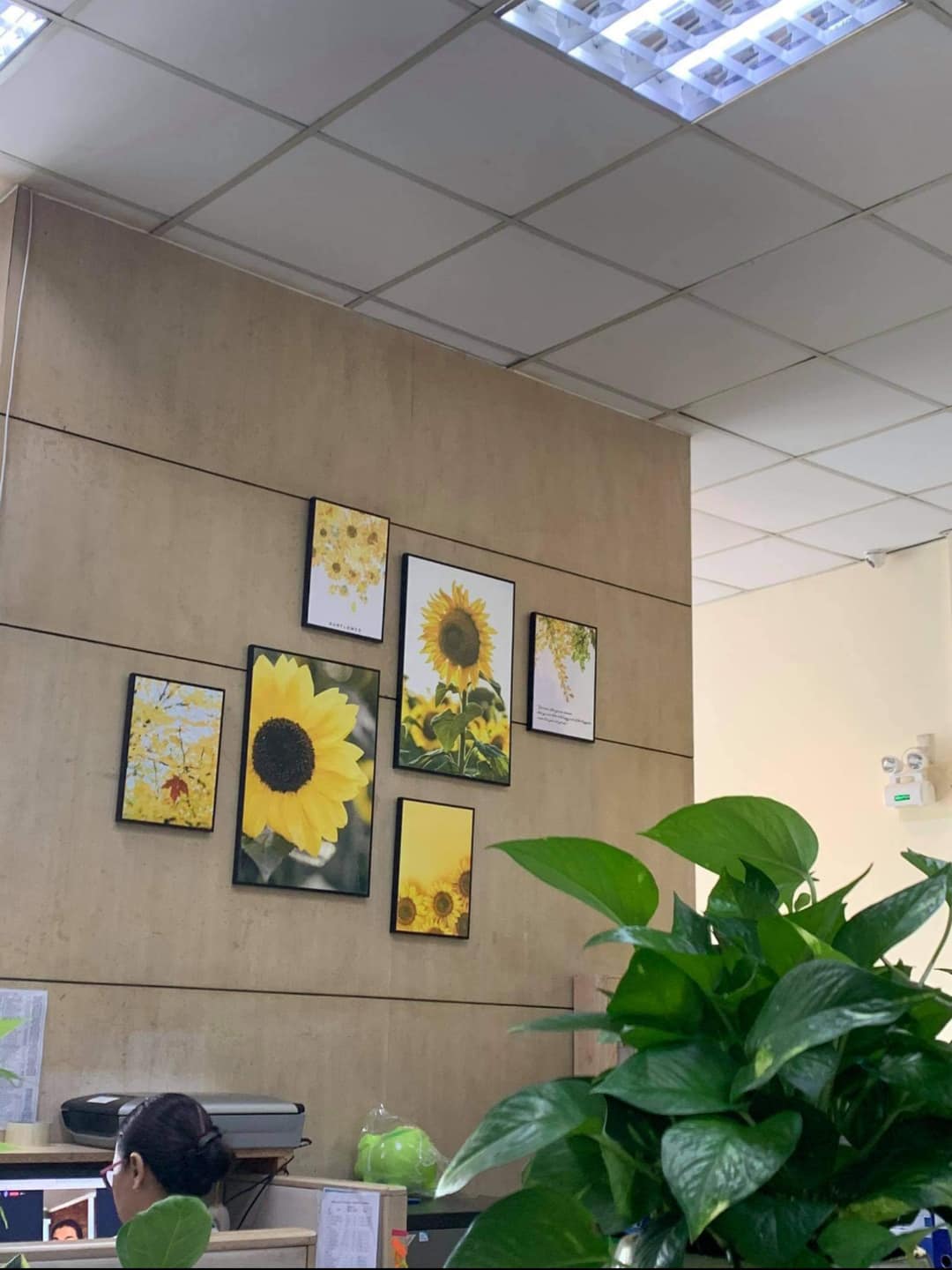 Bộ 6 bức tranh treo Phòng khách_PK9