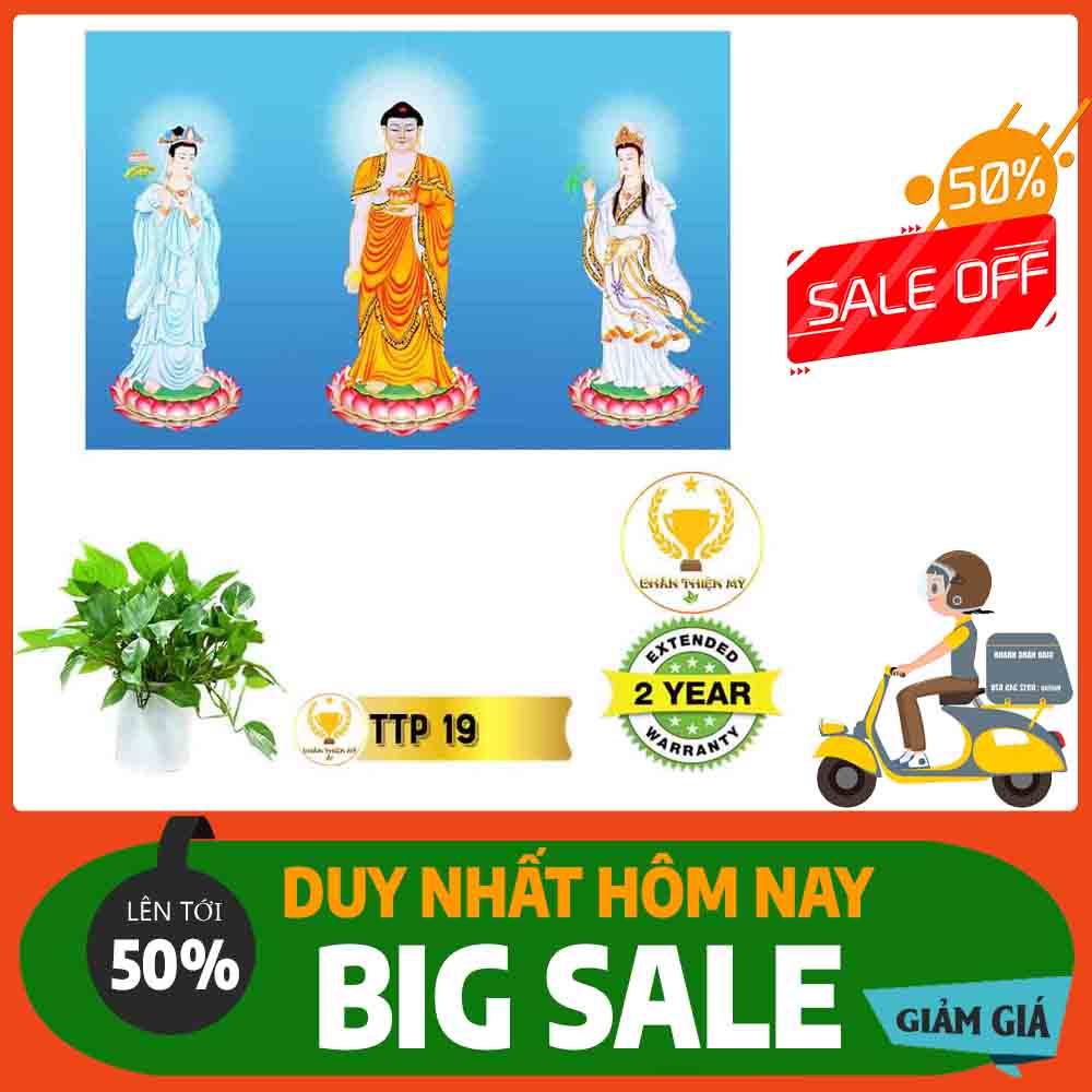 Tranh Tam Thế Phật MS 19
