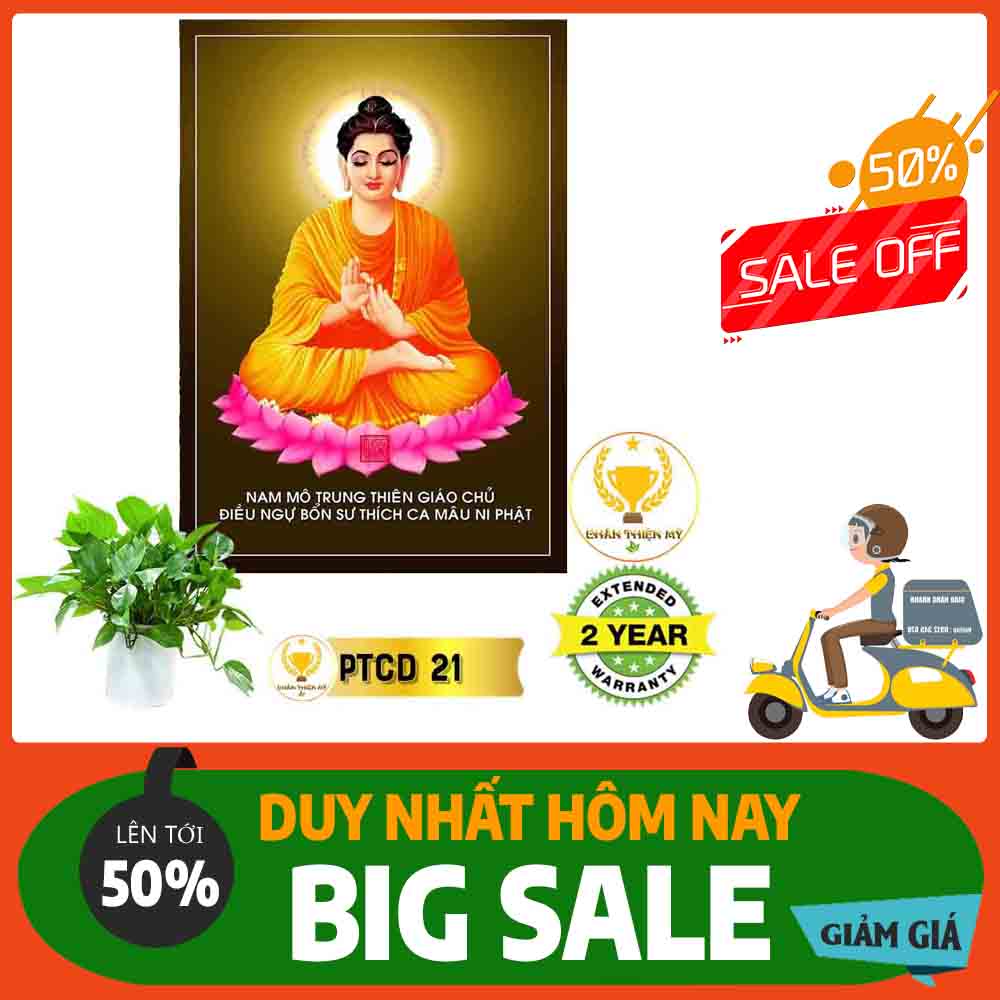 Tranh Phật Thích Ca Mâu Ni MS 21