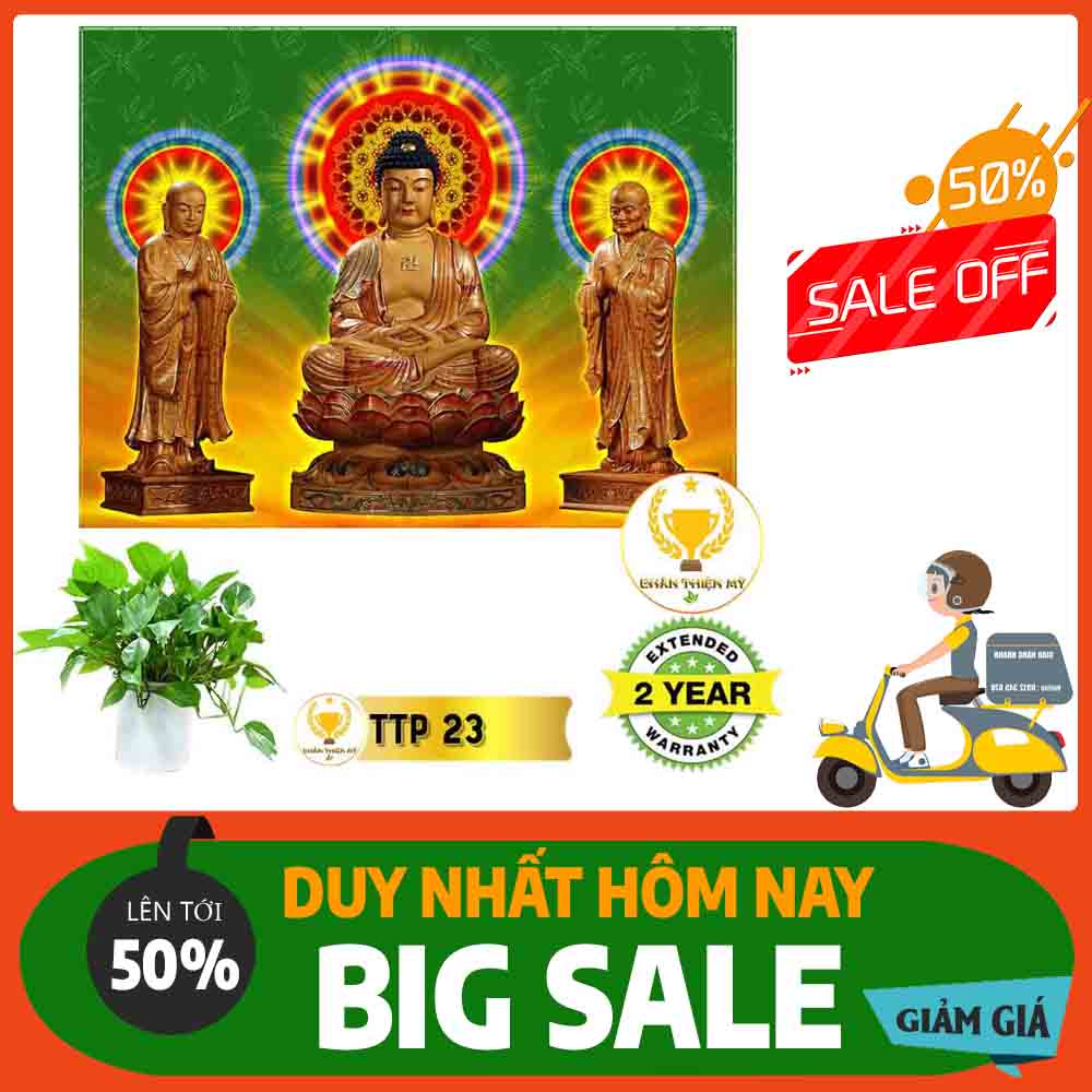 Tranh Tam Thế Phật MS 23