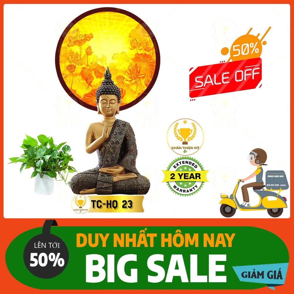 Hào quang trúc chỉ in TC 23