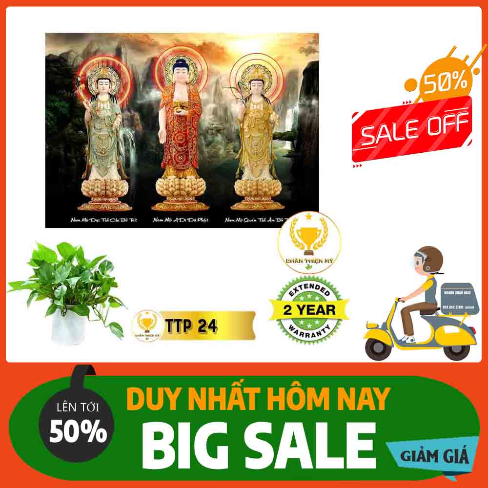 Tranh Tam Thế Phật MS 24