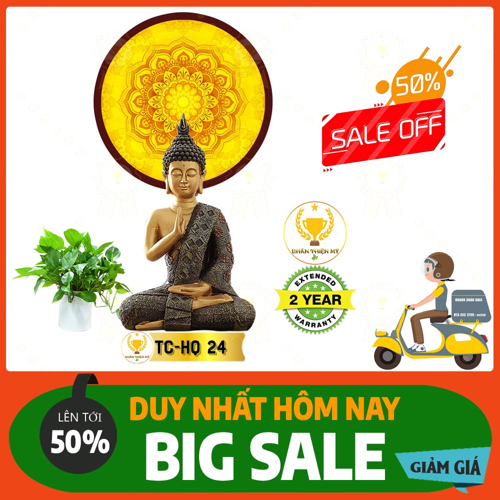 Hào quang trúc chỉ in TC 24