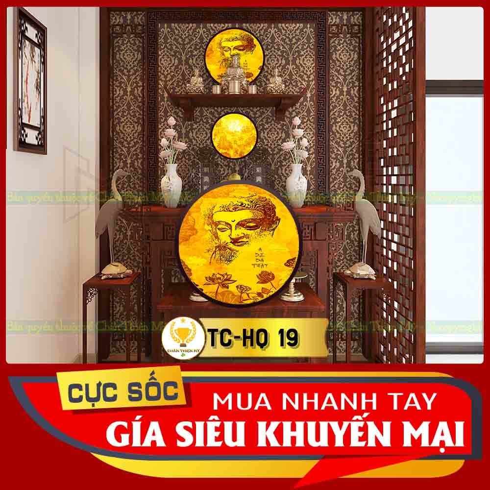 Hào quang trúc chỉ in TC-HQ 19