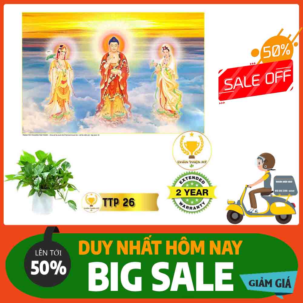 Tranh Tam Thế Phật MS 26