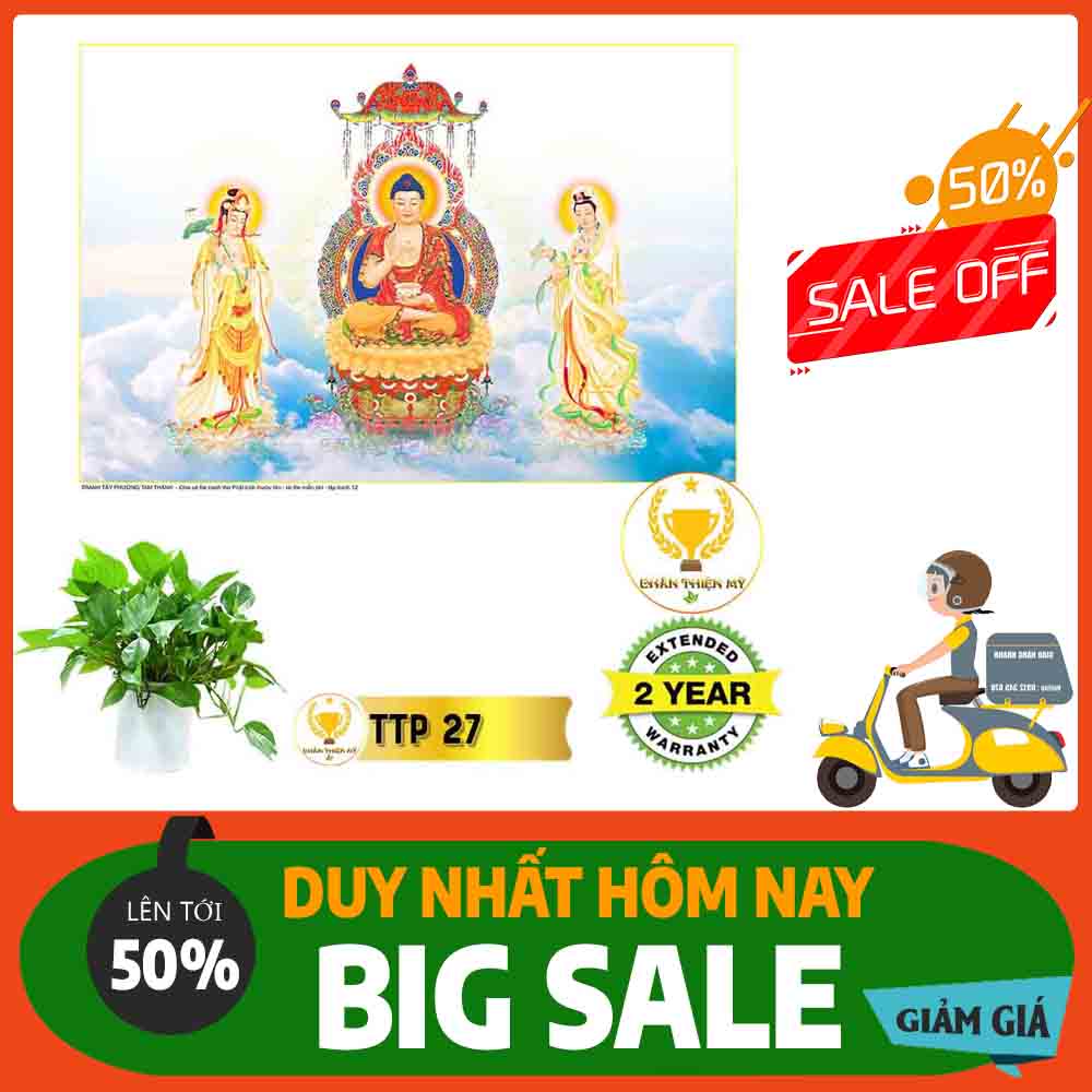 Tranh Tam Thế Phật MS 27