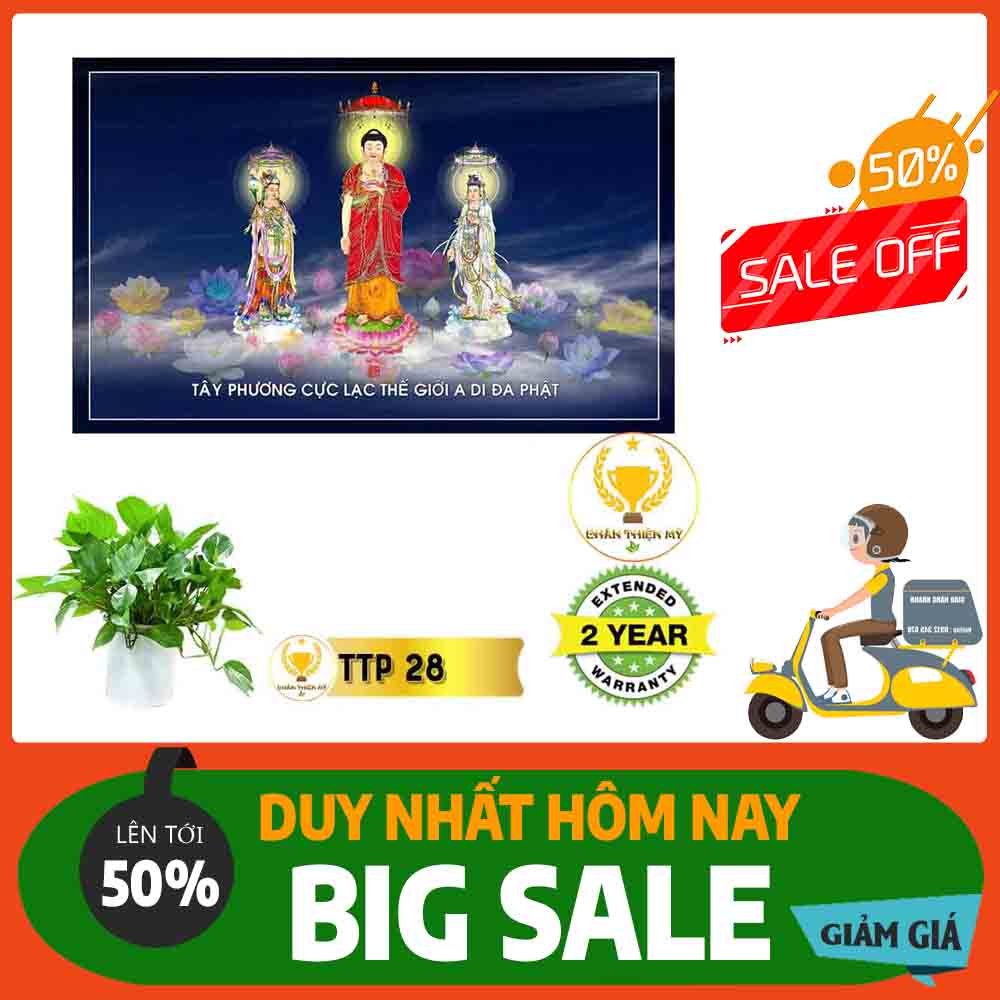 Tranh Tam Thế Phật MS 28