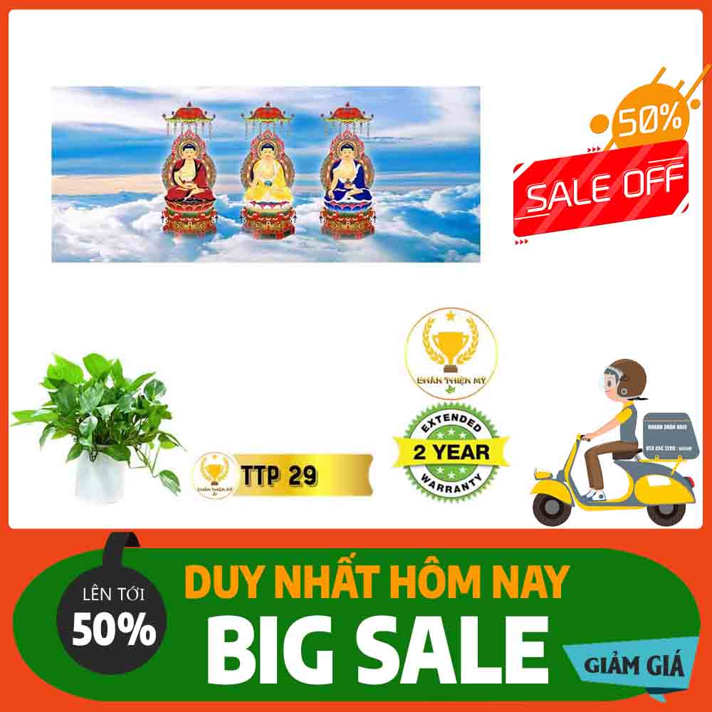 Tranh Tam Thế Phật MS 29