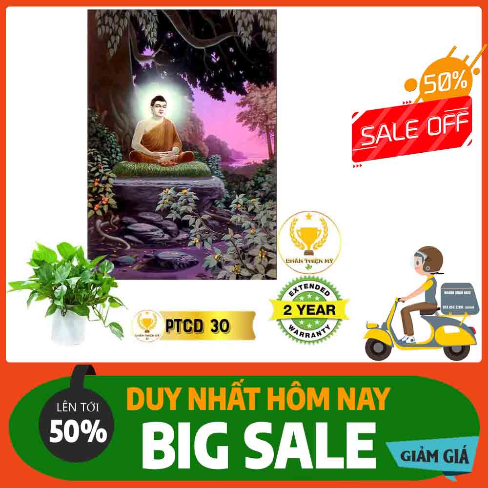 Tranh Phật Thích Ca Mâu Ni 02