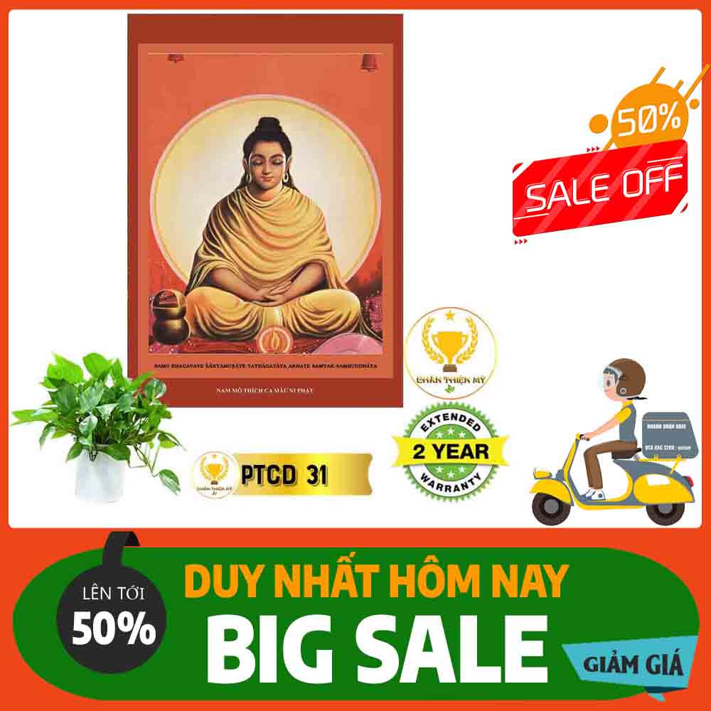 Tranh Phật Thích Ca Mâu Ni MS 31