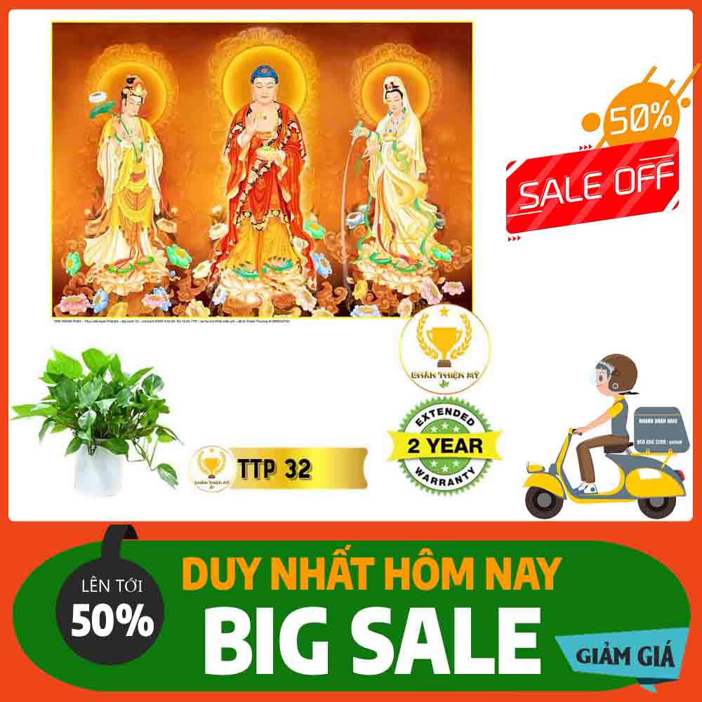Tranh Tam Thế Phật MS 32