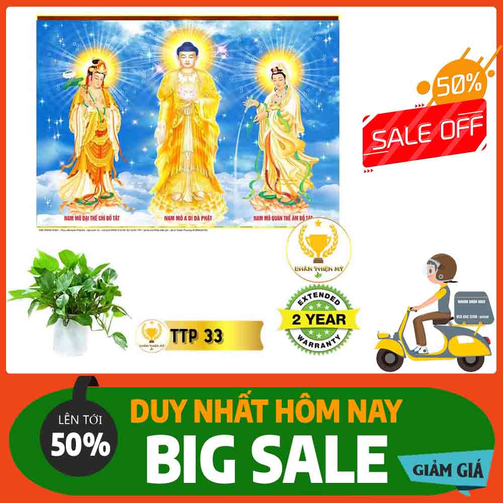 Tranh Tam Thế Phật MS 33