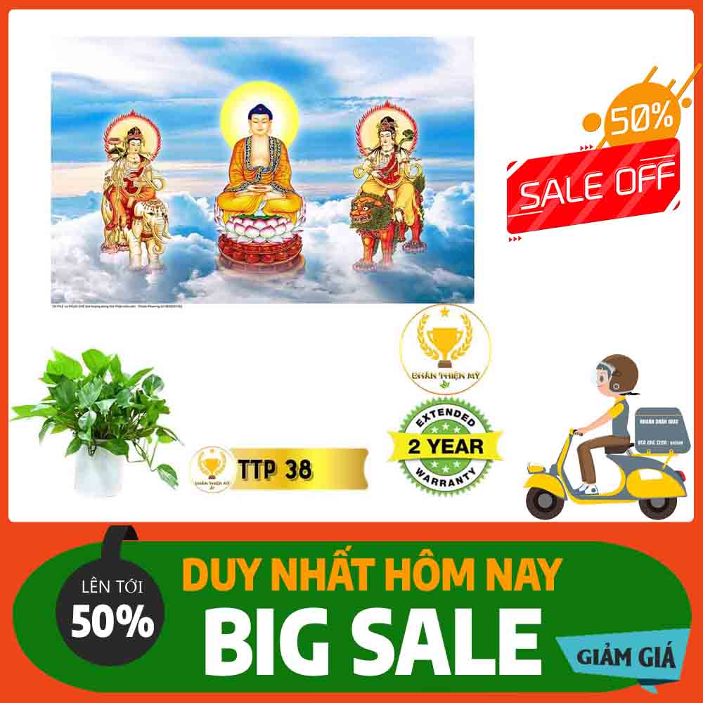 Tranh Tam Thế Phật MS 38