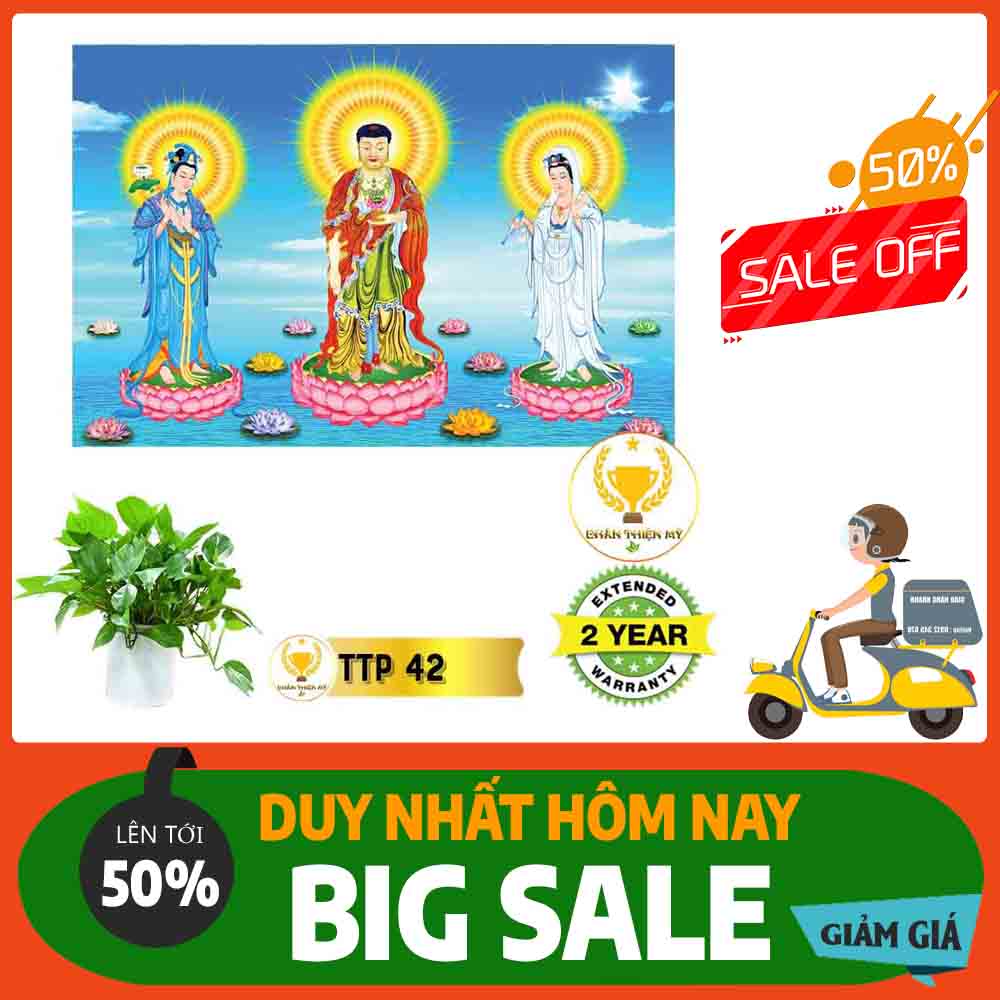 Tranh Tam Thế Phật MS 42
