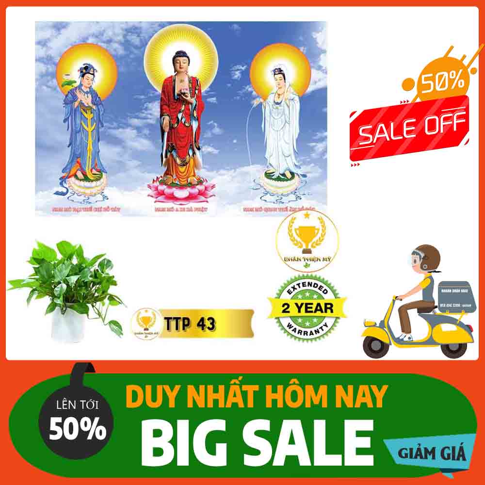 Tranh Tam Thế Phật MS 43