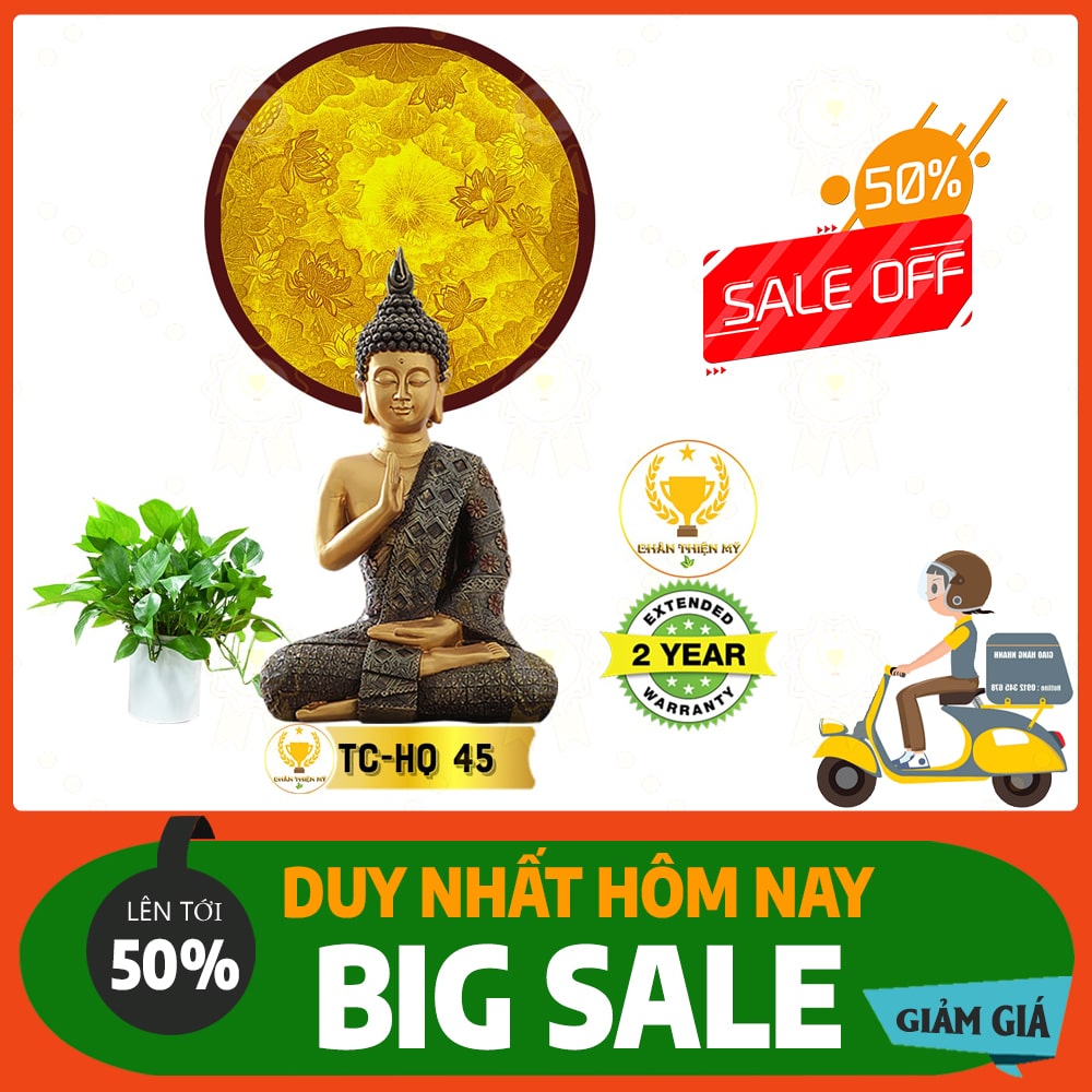 Hào quang trúc chỉ in MS 45