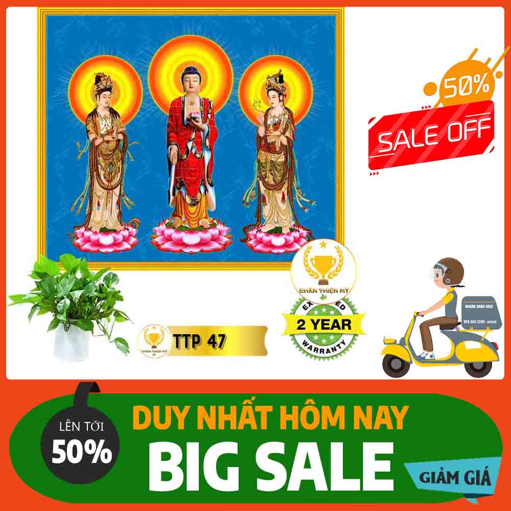 Tranh Tam Thế Phật MS 47