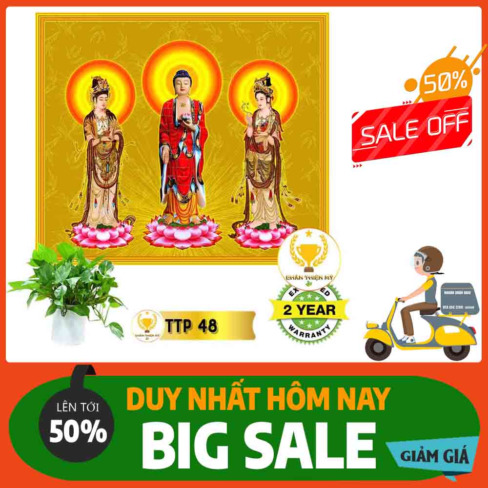 Tranh Tam Thế Phật MS 48