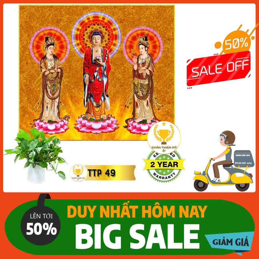 Tranh Tam Thế Phật MS 49