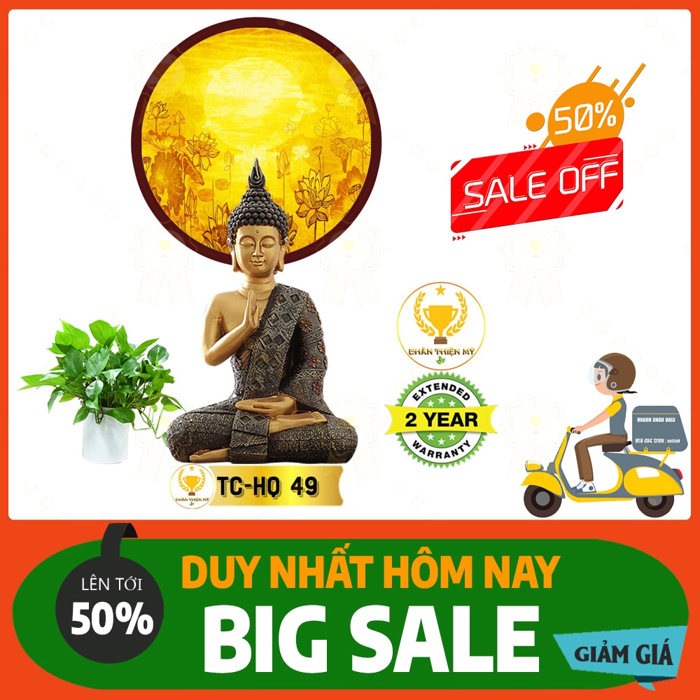 Hào quang trúc chỉ in MS 49