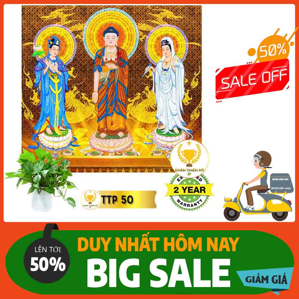 Tranh Tam Thế Phật MS 50
