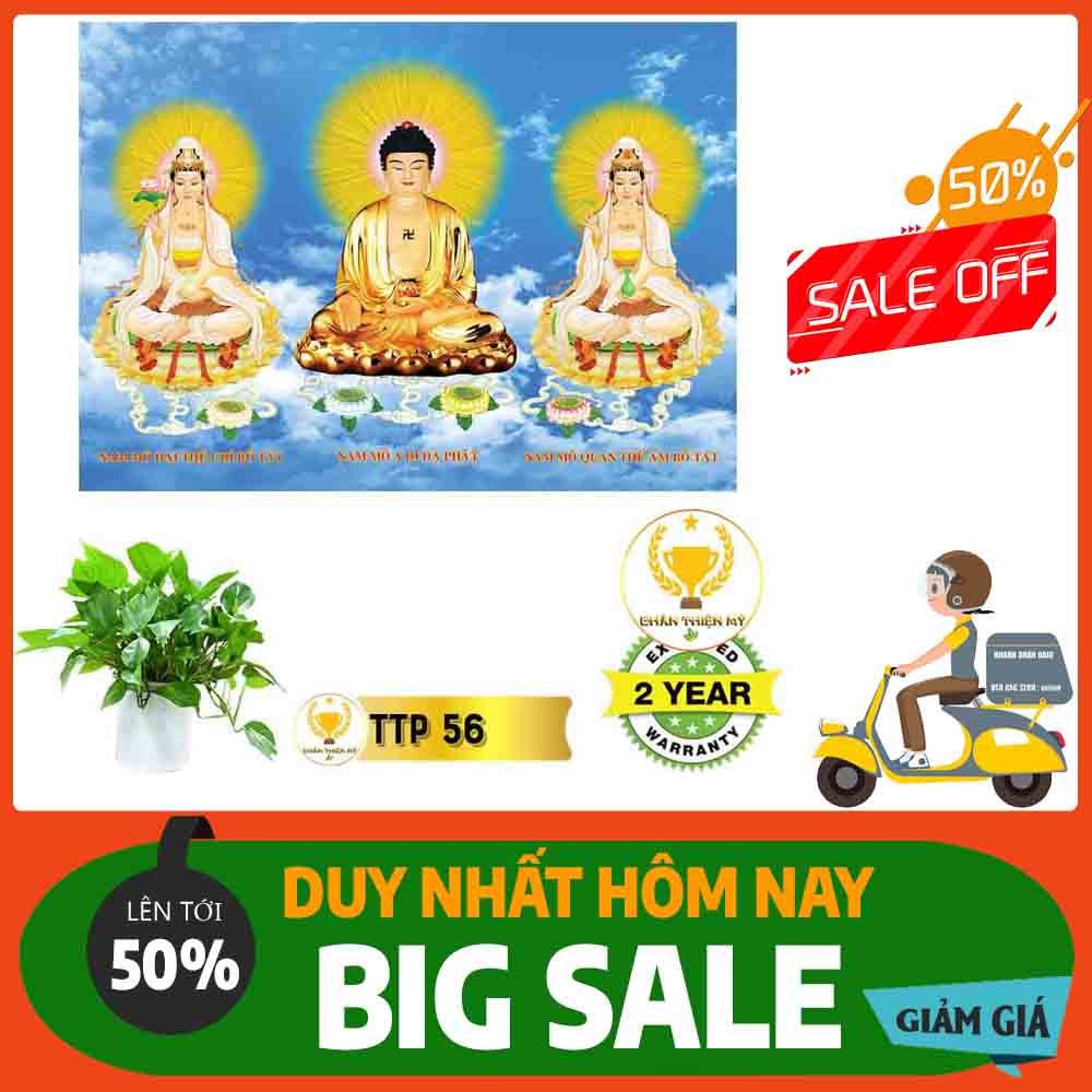 Tranh Tam Thế Phật MS 56