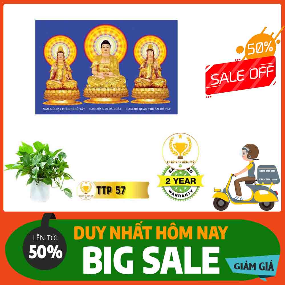Tranh Tam Thế Phật MS 57