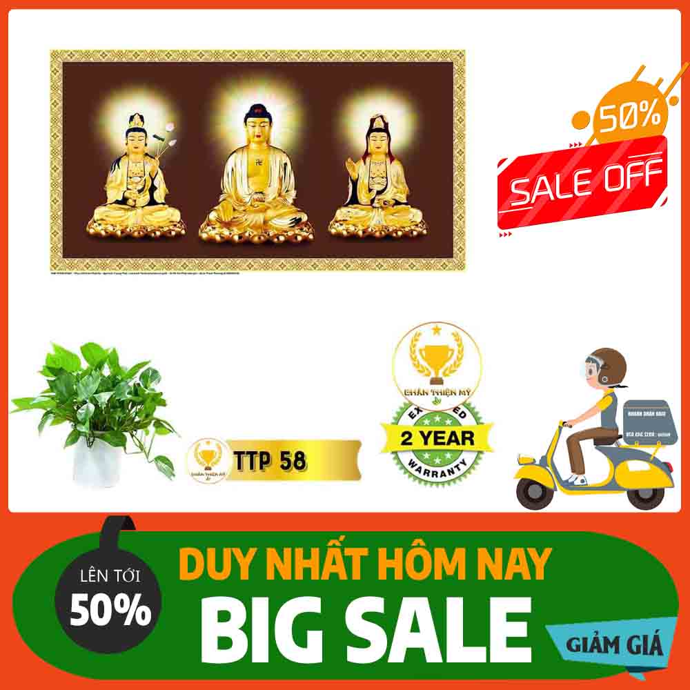 Tranh Tam Thế Phật MS 58