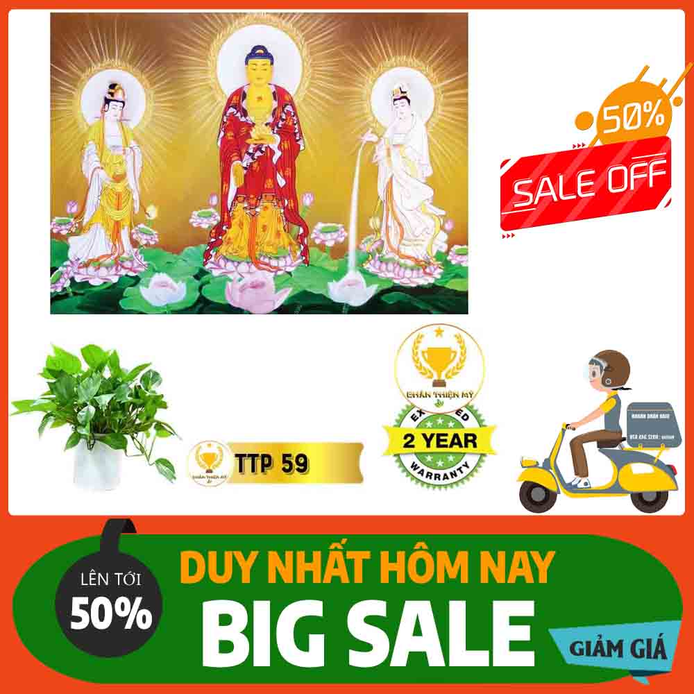 Tranh Tam Thế Phật MS 59