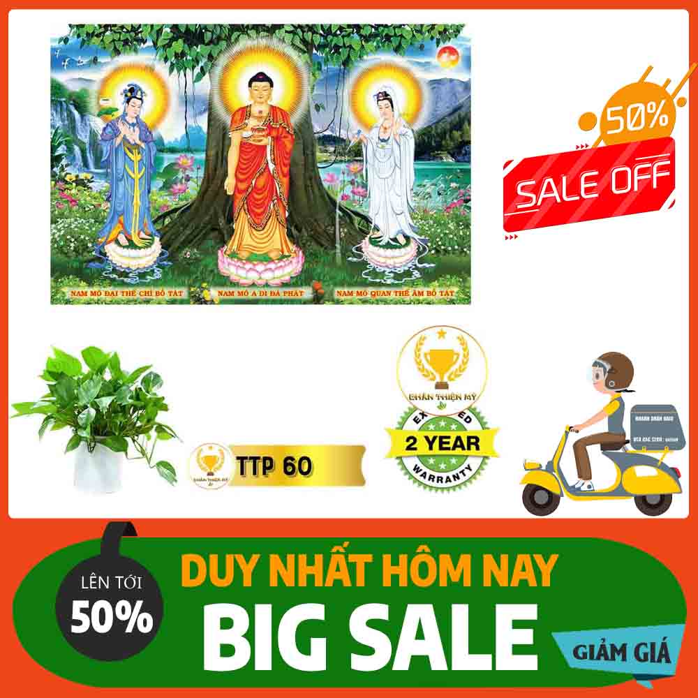 Tranh Tam Thế Phật MS 60