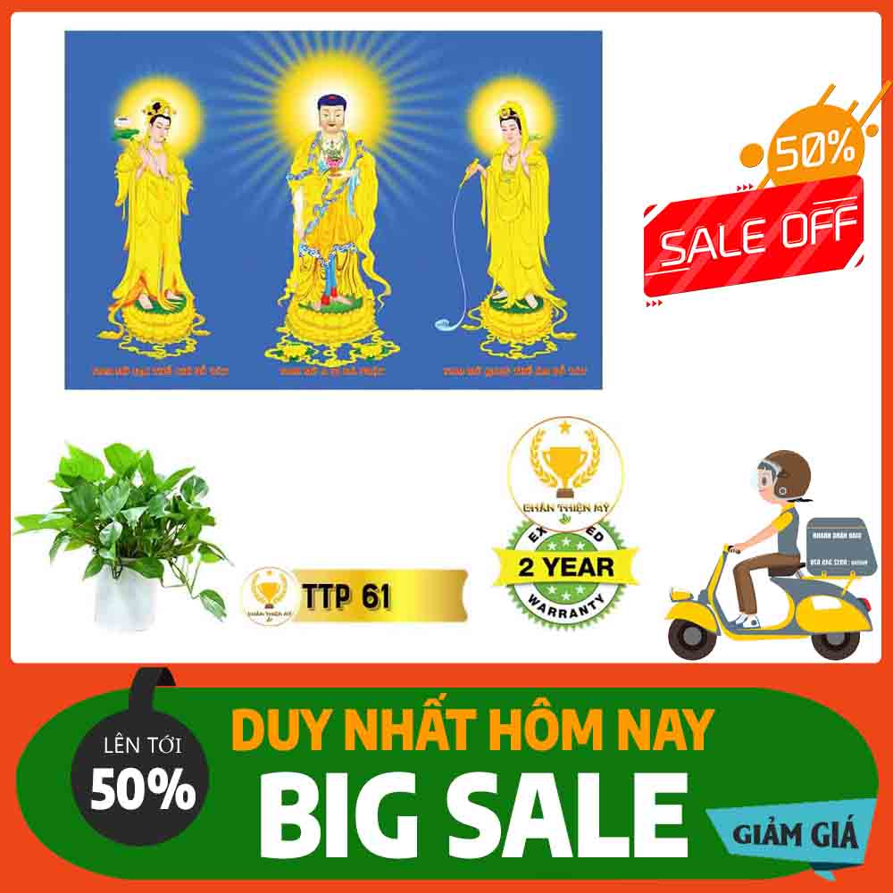 Tranh Tam Thế Phật MS 61