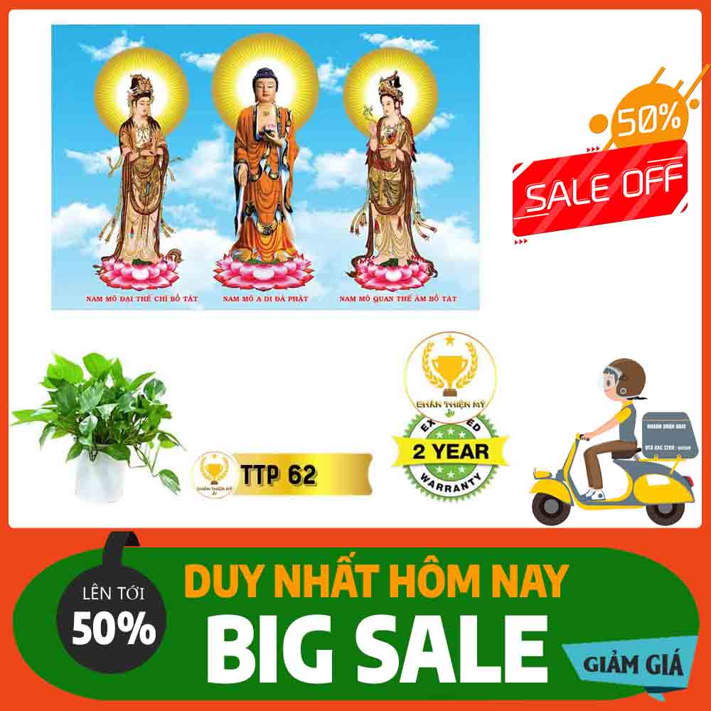 Tranh Tam Thế Phật MS 62