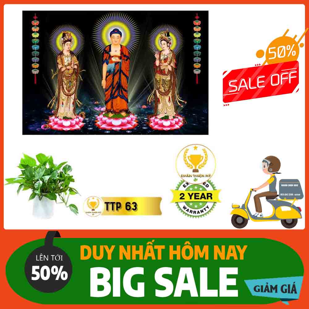 Tranh Tam Thế Phật MS 63