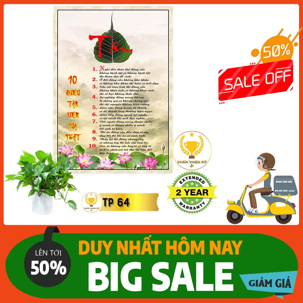 Tranh Thư Pháp nhiều mẫu