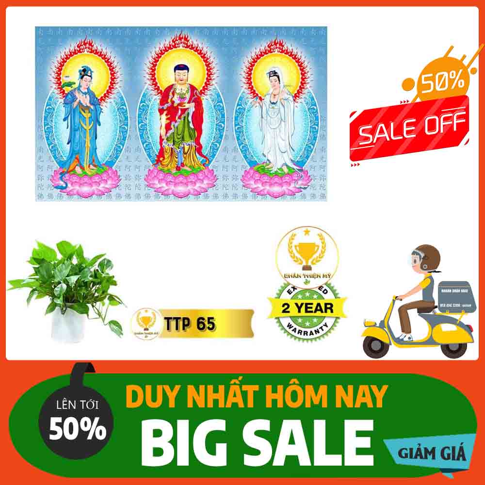 Tranh Tam Thế Phật MS 65