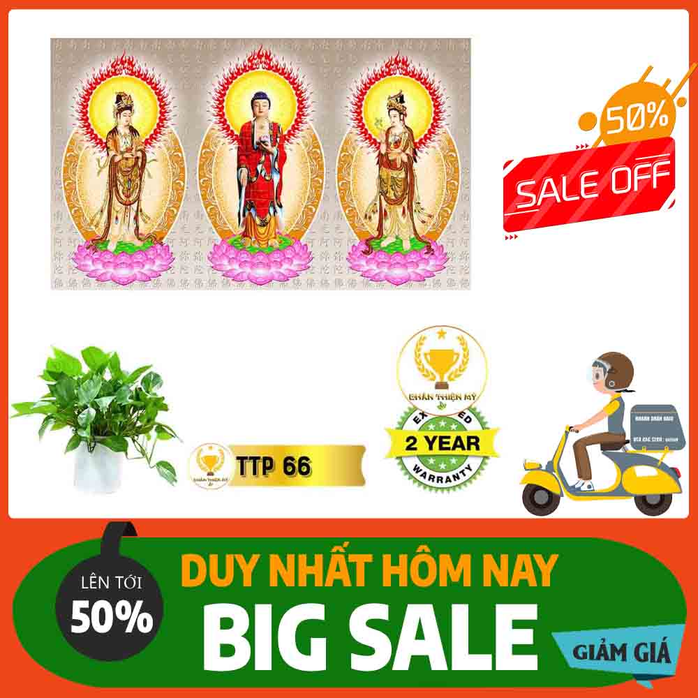 Tranh Tam Thế Phật MS 66