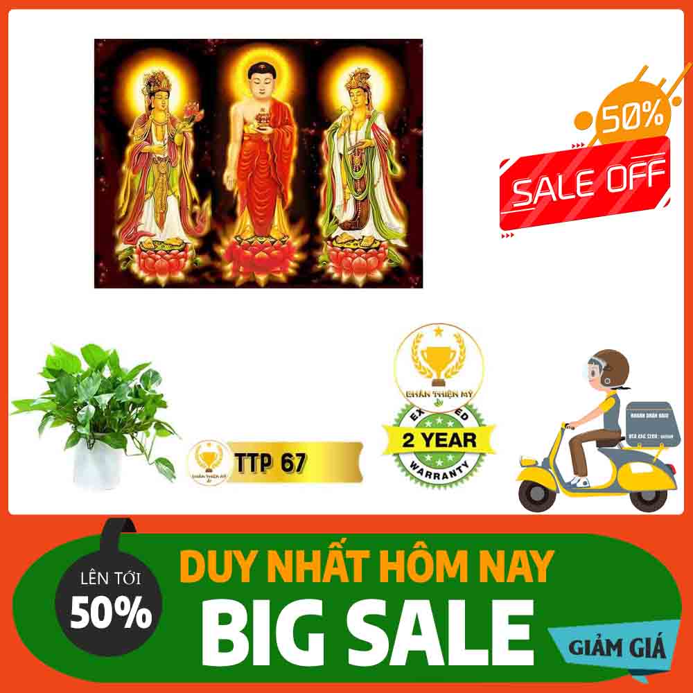 Tranh Tam Thế Phật MS 67
