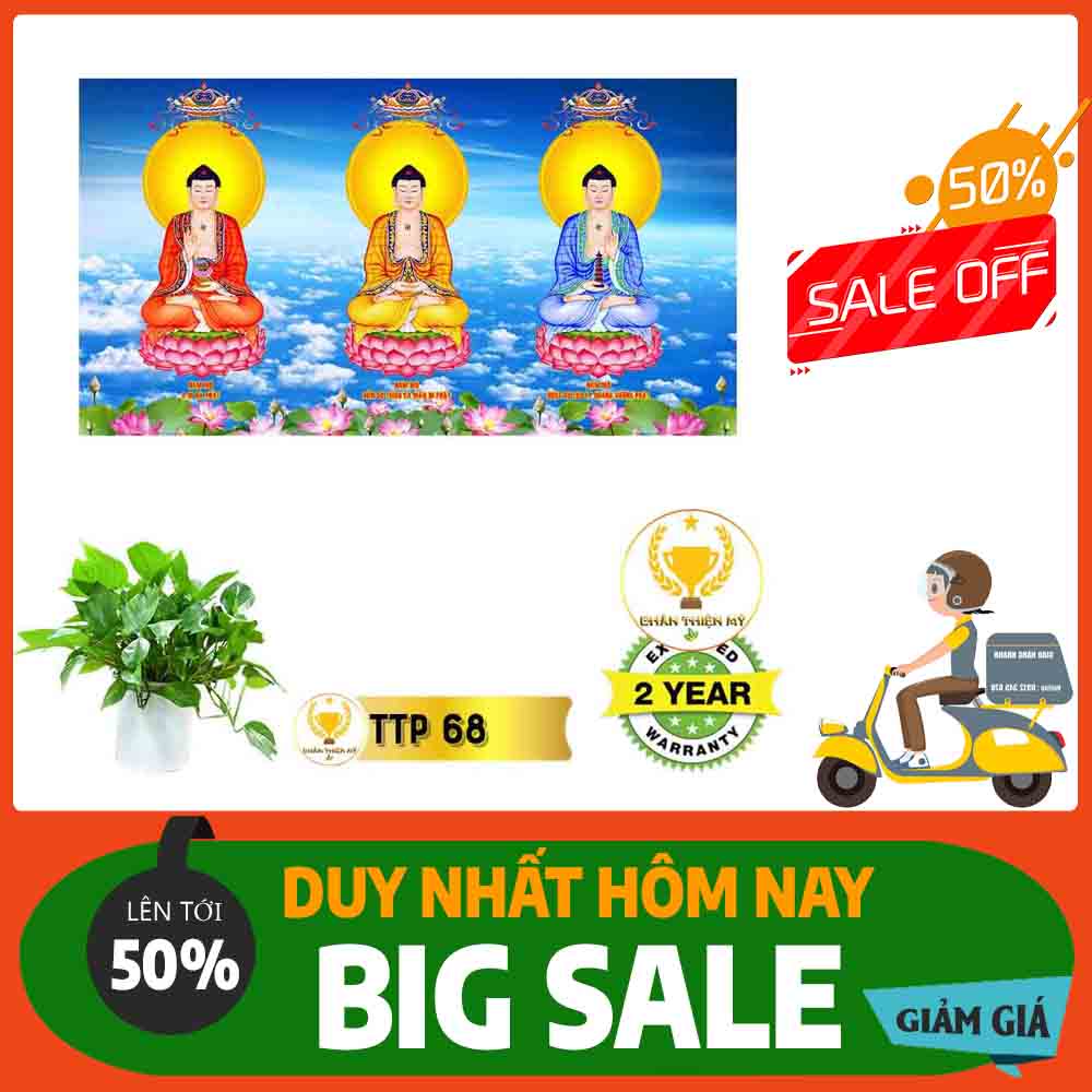 Tranh Tam Thế Phật MS 68