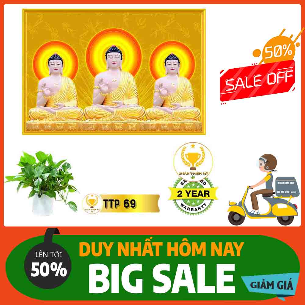 Tranh Tam Thế Phật MS 69