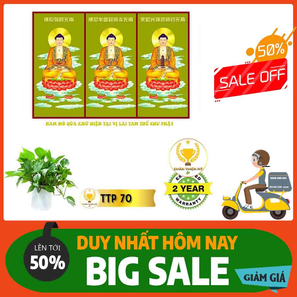 Tranh Tam Thế Phật MS 70