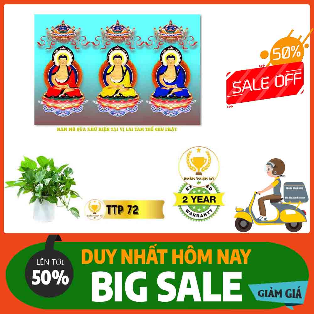 Tranh Tam Thế Phật MS 72