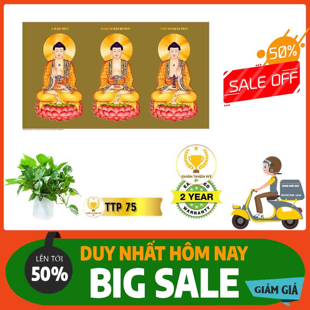 Tranh Tam Thế Phật MS 75